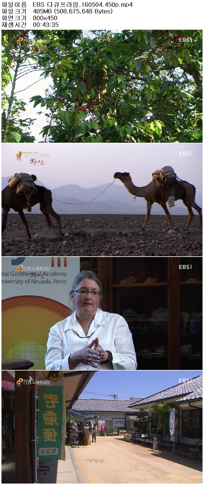 2scNV_1462421257.jpg