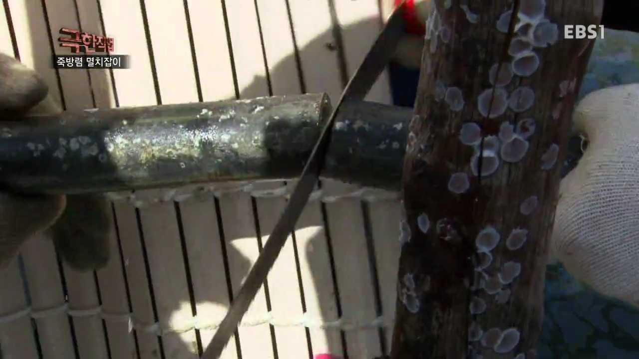 d3de6_1464508926.jpg