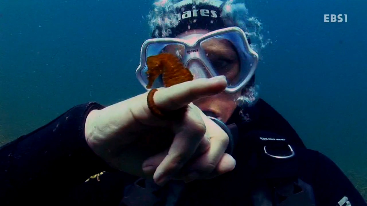e0FsS_1467463640.jpg