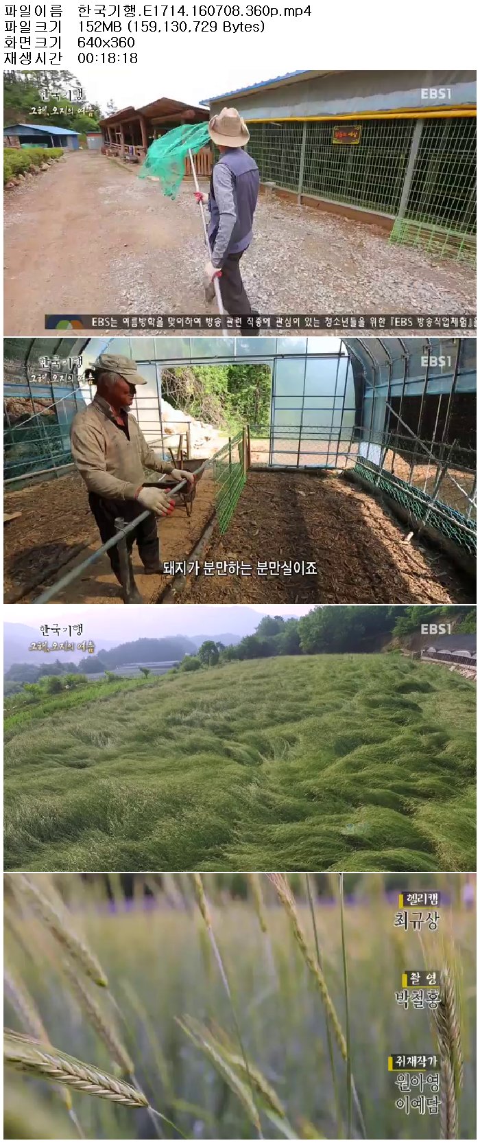 qHn1t_1468204695.jpg