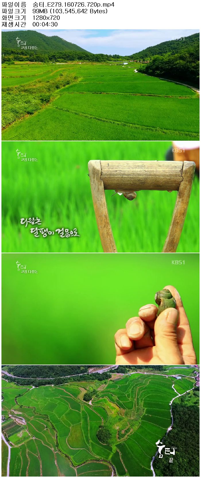 ydk9H_1469653448.jpg
