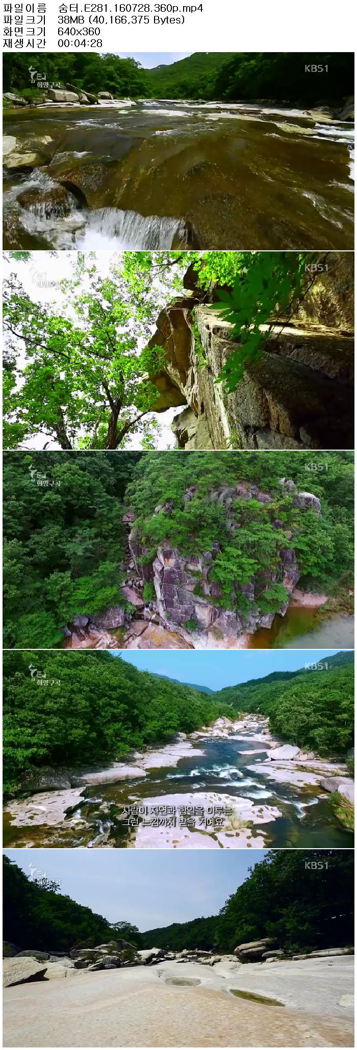 71yYU_1469745169.jpg