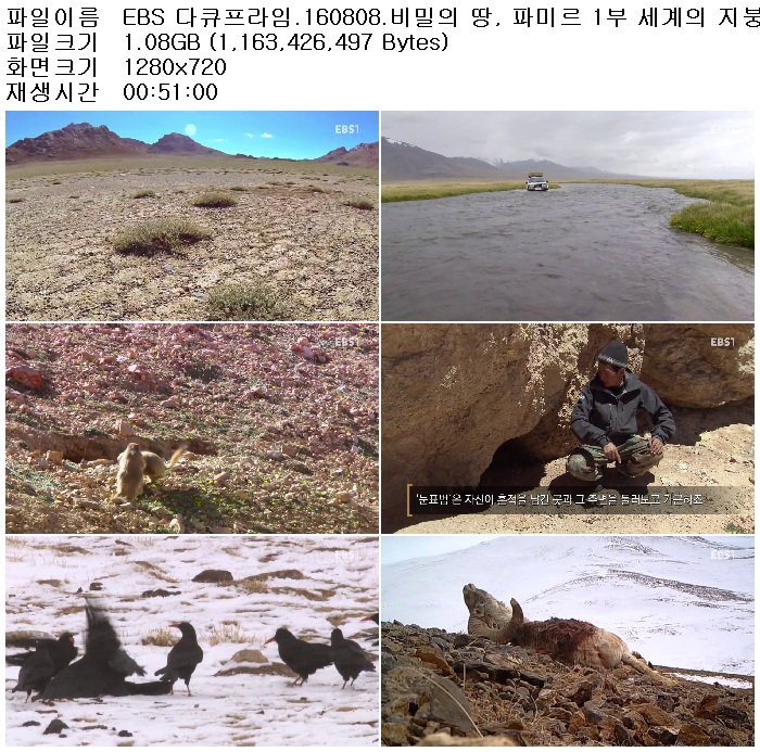 EaIg_1470826523.jpg