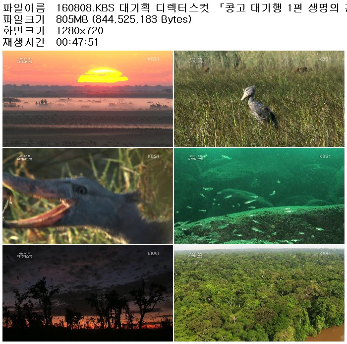 SqDKx_1470826134.jpg
