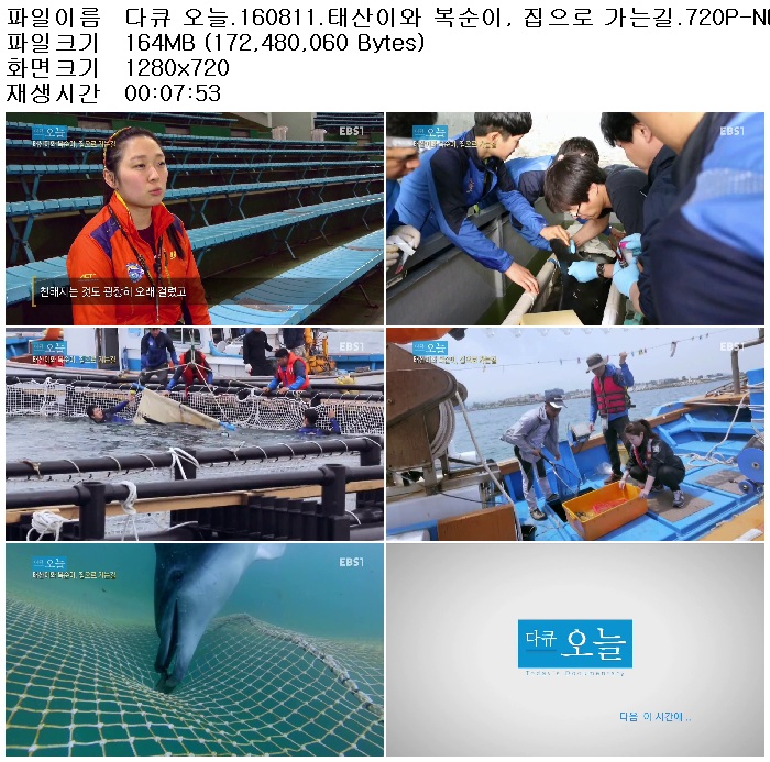 tnSRT_1470940191.jpg
