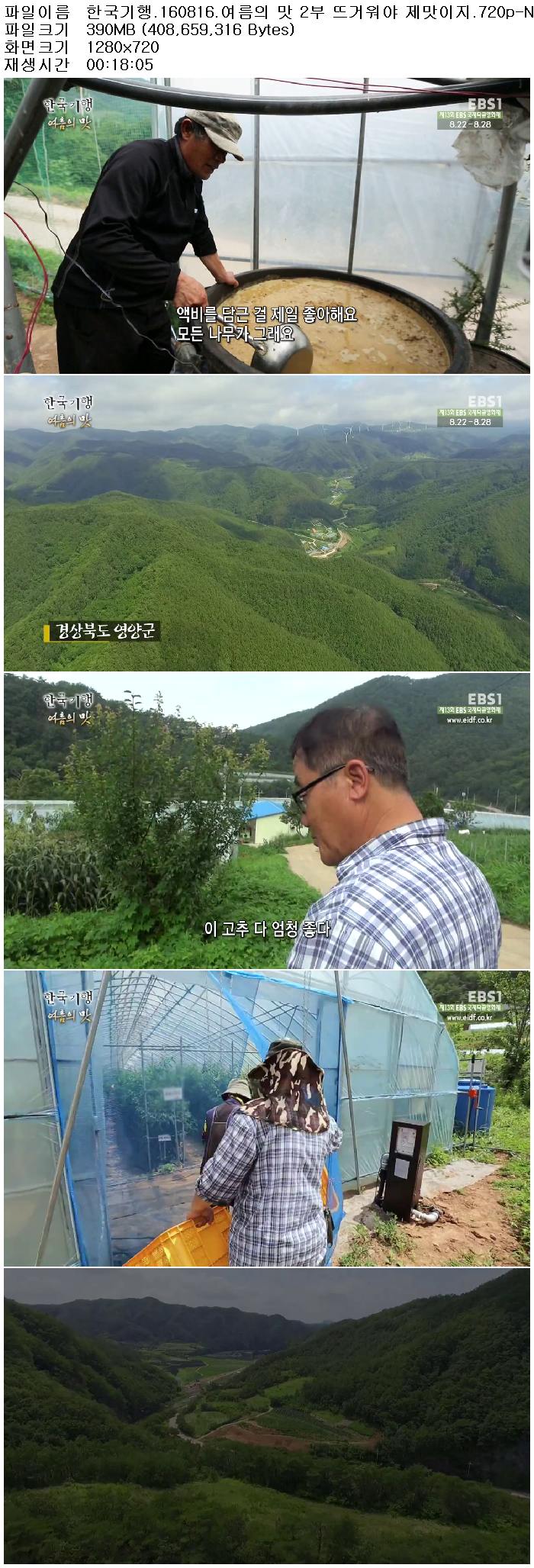 ryj6z_1471376097.jpg