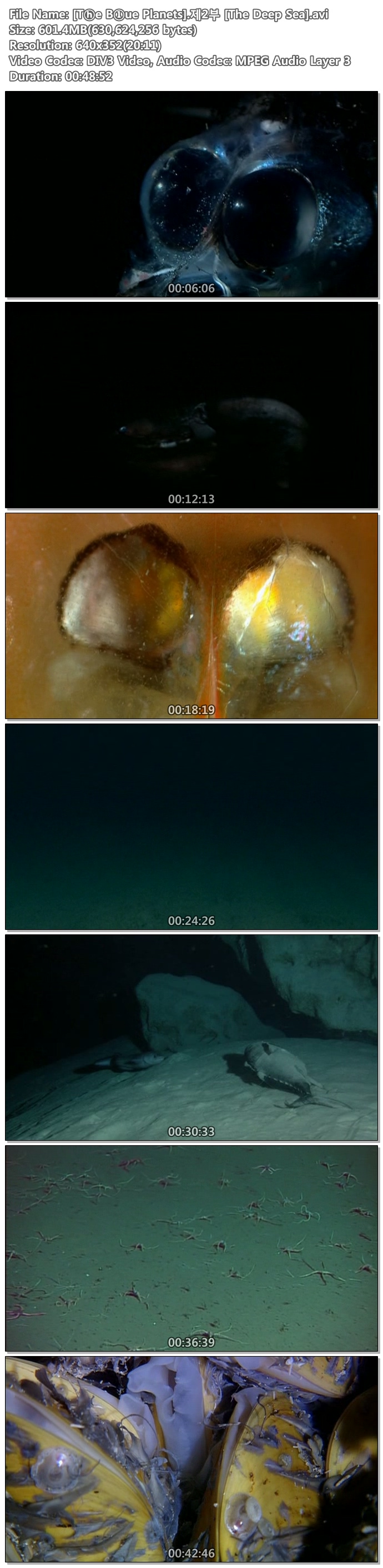 8n7I7_1471593833.jpg
