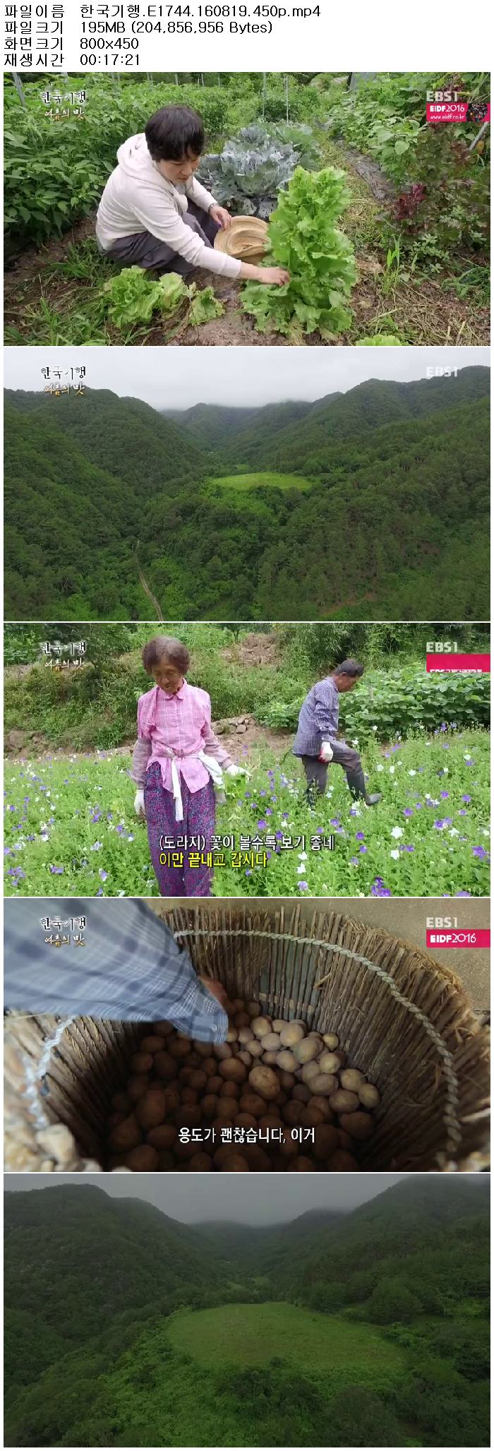 71yYU_1471644289.jpg