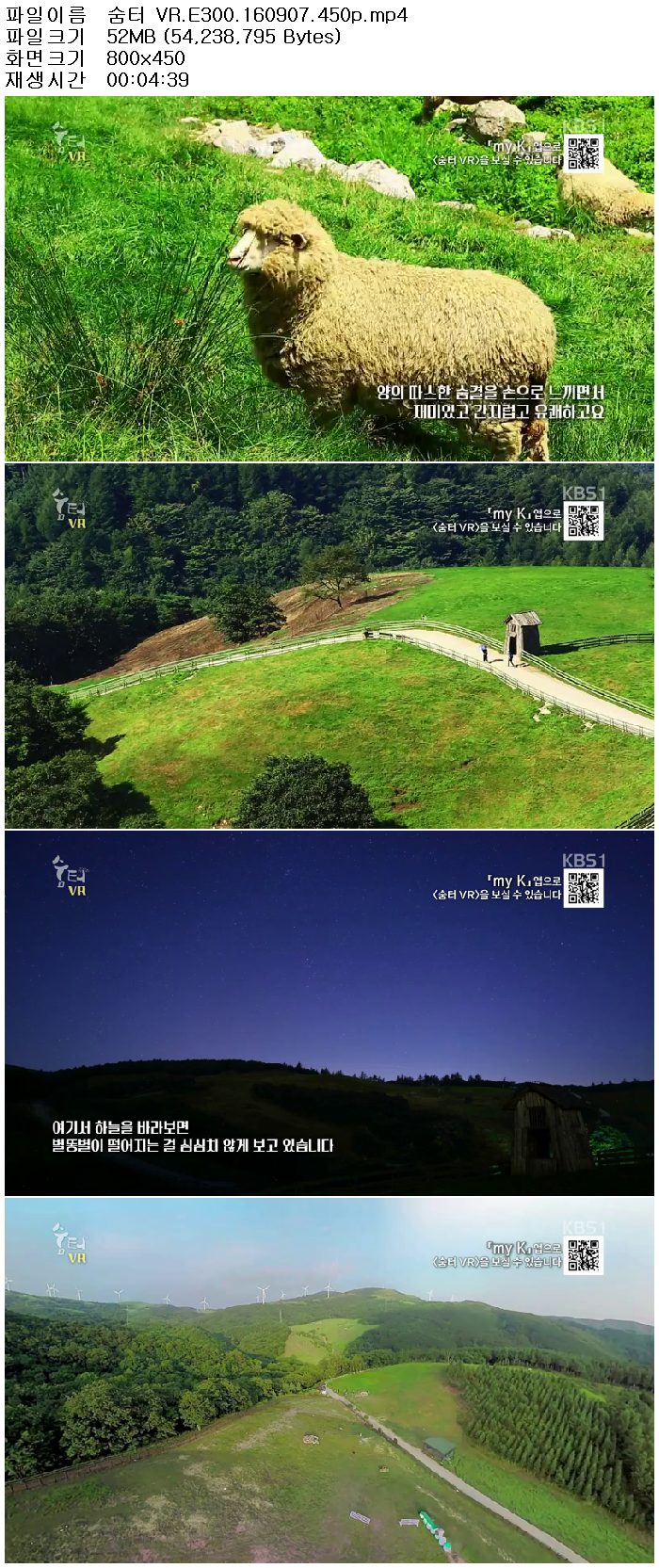 ozjaM_1473299553.jpg