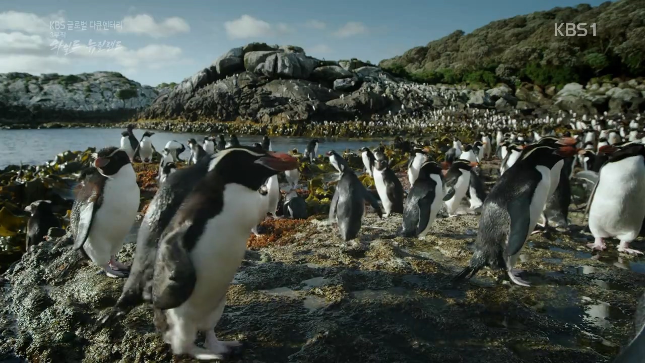 kwChm_1473938328.jpg