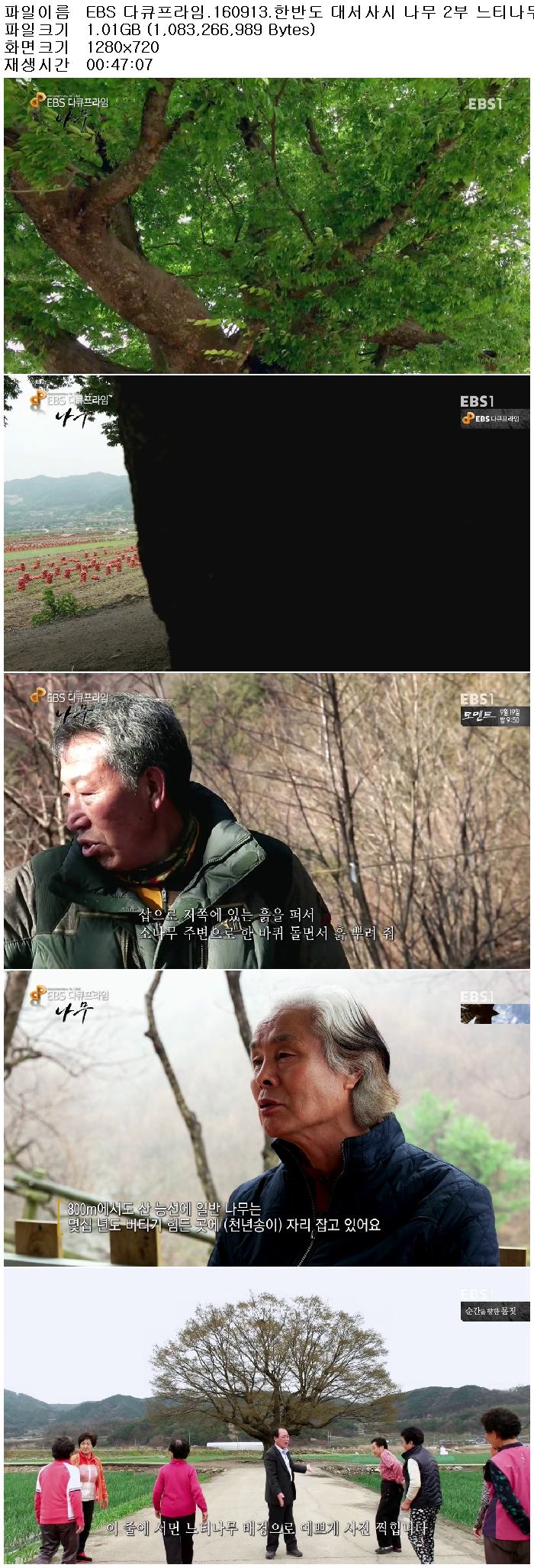 qFvoM_1474019417.jpg