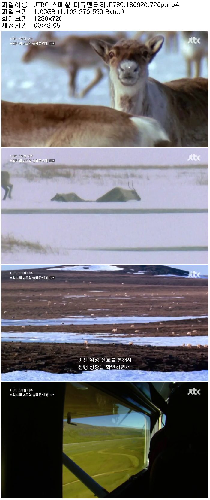 qFvoM_1474521617.jpg