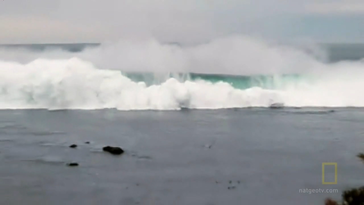72769_1475499713.jpg