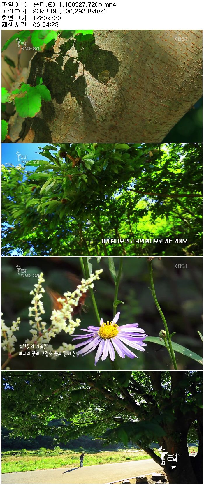 hb09F_1475842141.jpg