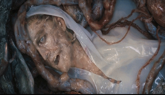 08585_1536806767.gif