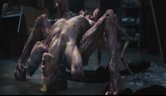 6785a_1536806767.gif