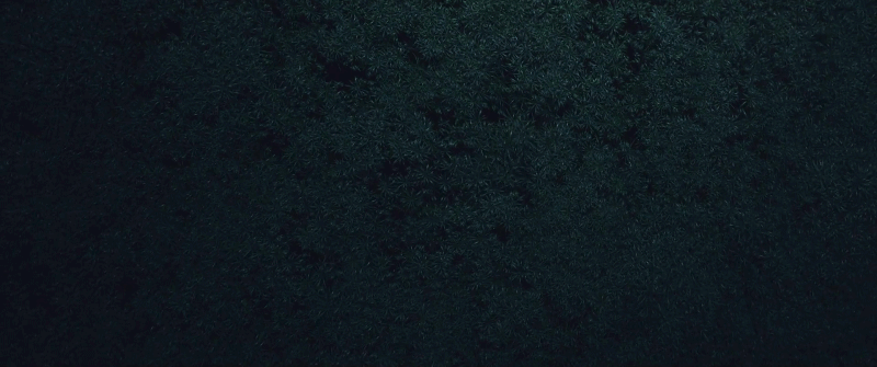 56800_1570197430.gif