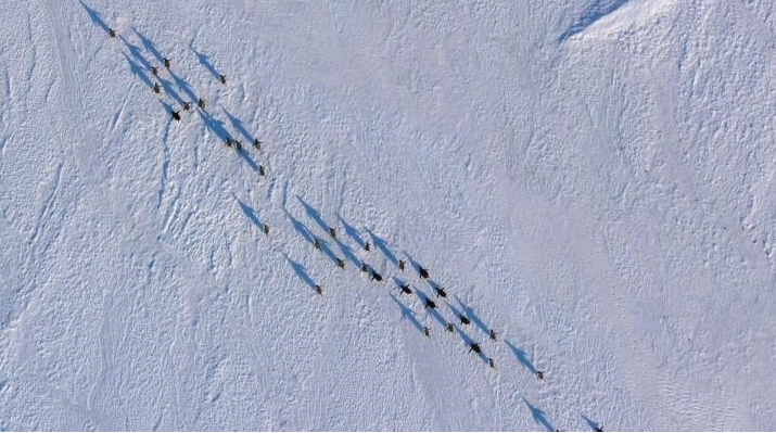 67805_1571362804.jpg