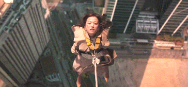 24426_1572457066.gif