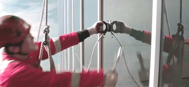 8c492_1572457066.gif