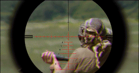43321_1574390207.png