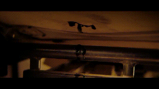 4ca60_1574745132.gif
