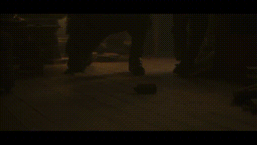 55fbd_1574744863.gif