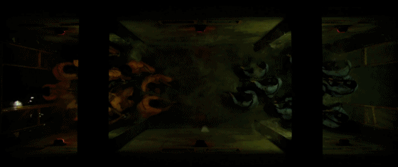 84cbf_1574745417.gif