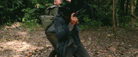 9d867_1574745417.gif