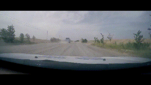 d8746_1574745132.gif