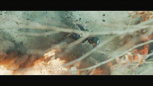 6c8db_1575105879.gif