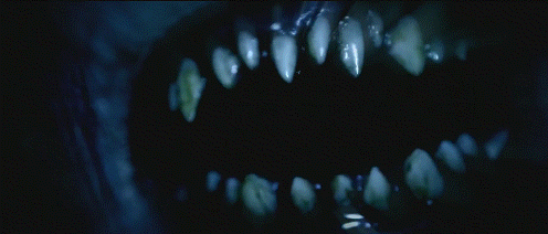 90d39_1575121190.gif