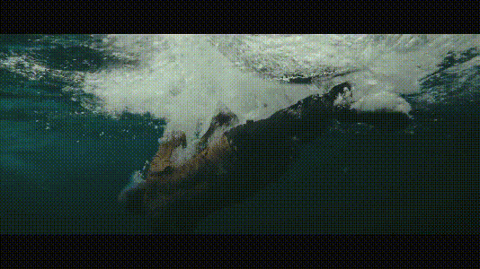 d2bad_1575105880.gif