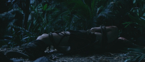 f3dfc_1575121190.gif