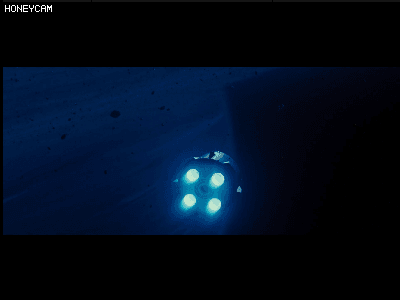 4224f_1575564401.gif