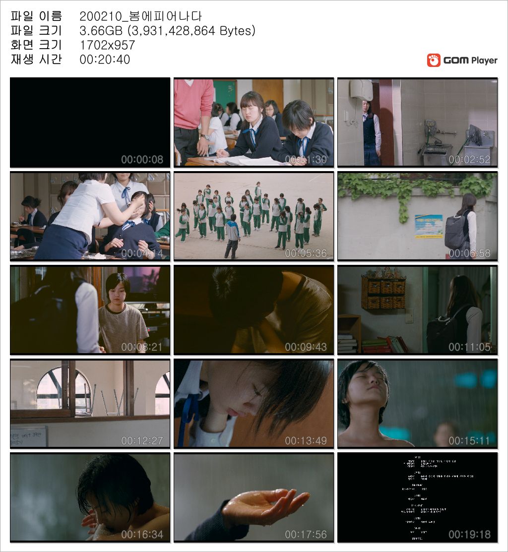 qFvoM_1581323537.jpg qFvoM_1581323537.jpg