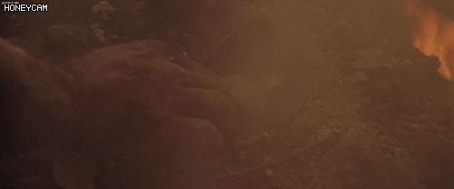 c0537_1581403823.gif