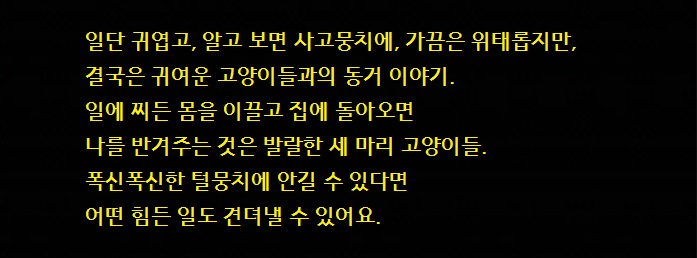 1784d_1581722118.jpg