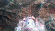 204d6_1582911573.gif