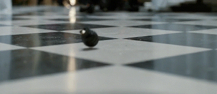 13402_1584544371.gif