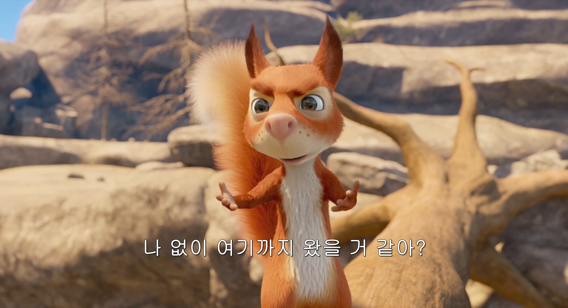 yStz3_1596393324_copy3.jpg