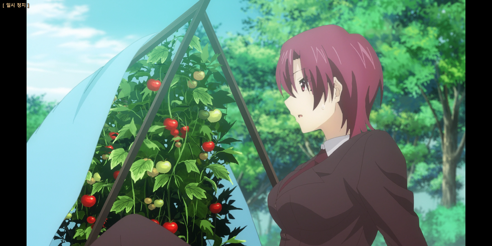 79ecd_1596719159.png