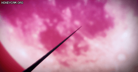 0502a_1604681054.gif