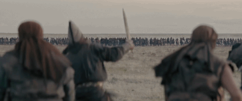 04d8e_1605083545.gif
