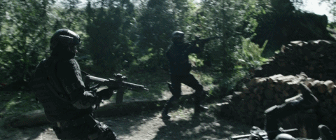 332f6_1605085709.gif