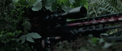 8b54a_1605085709.gif