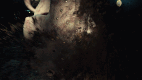 8d8c0_1605082333.gif