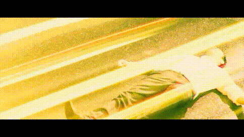 e2648_1605063045.gif
