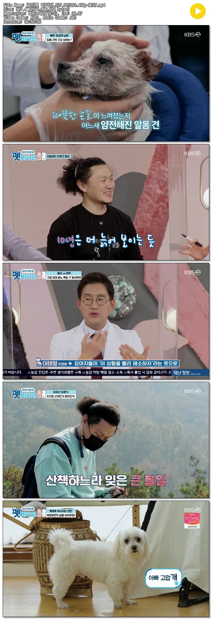 EaIg_1607058923.jpg EaIg_1607058923.jpg