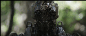 09730_1607753907.gif